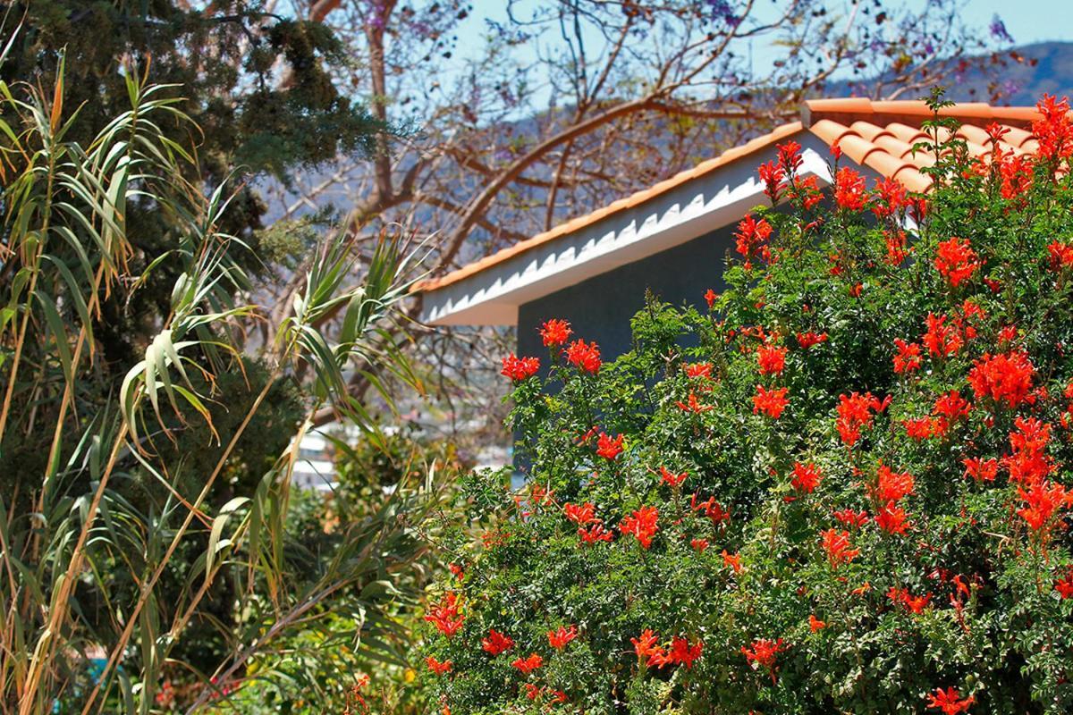 Casa Esther El Paso Eksteriør bilde